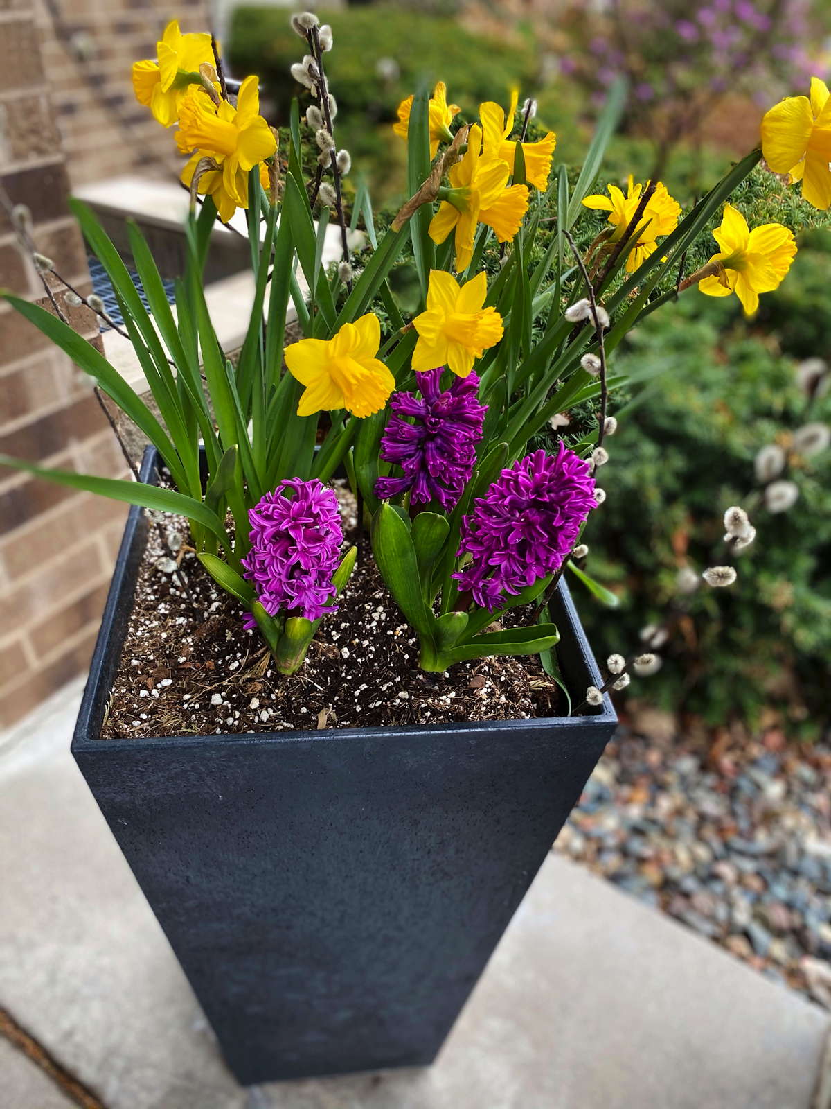 Spring Flowers at Valley View Cooperative